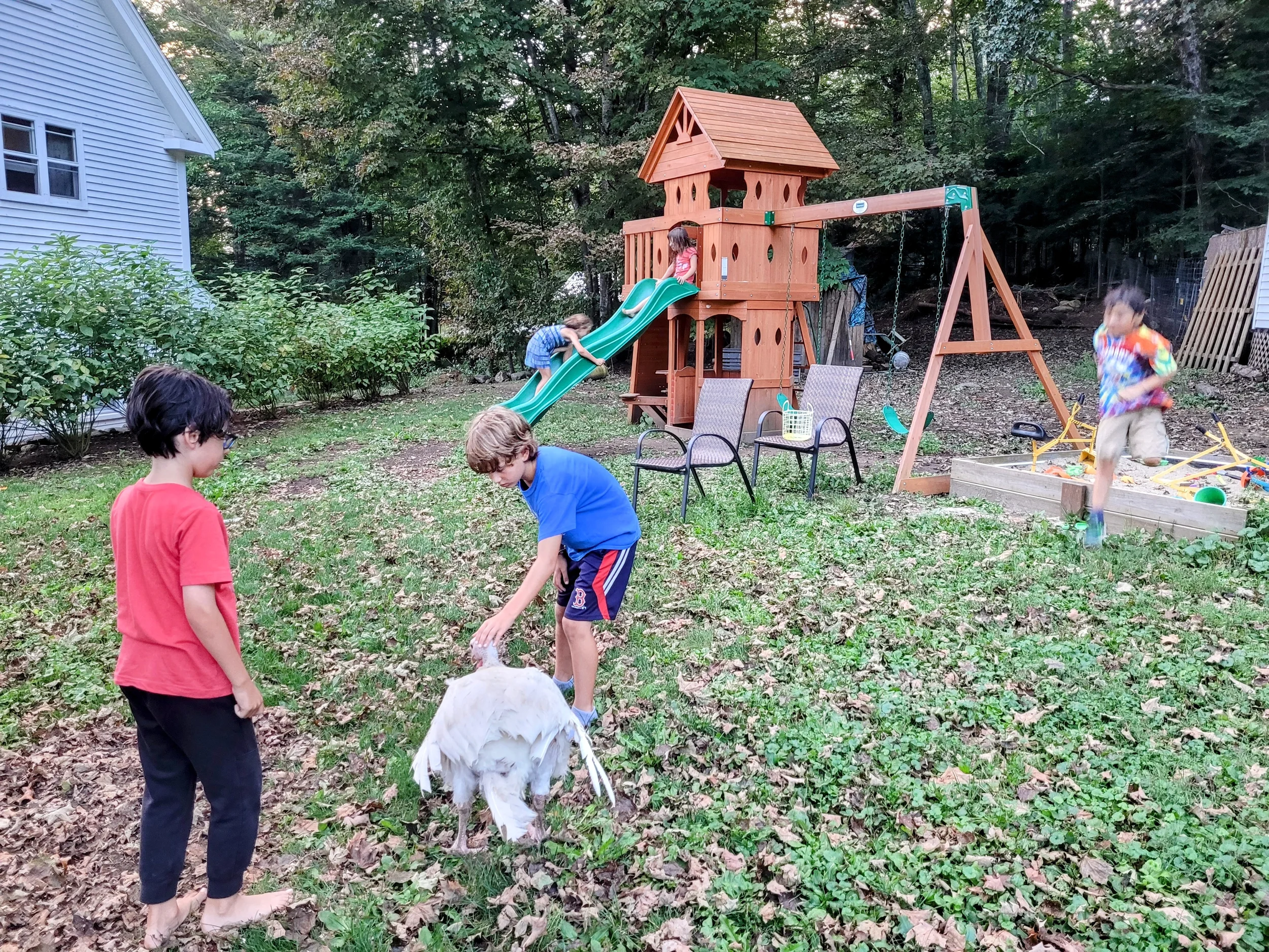 family friendly, turkey, playset, kids, new hampshire