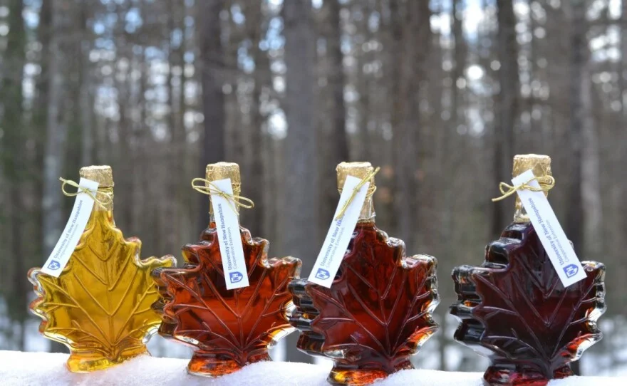Maple Sugaring