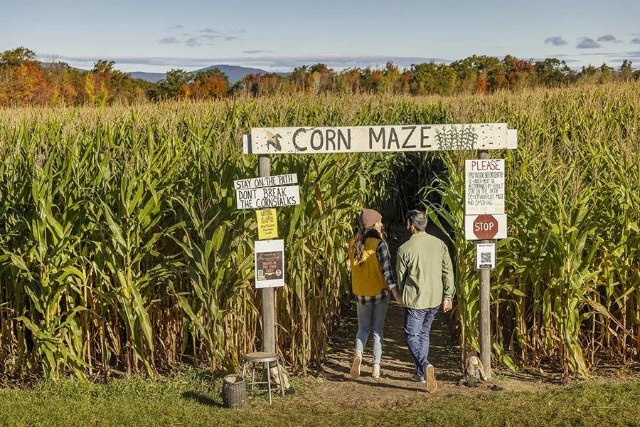 Haunts & Corn Mazes